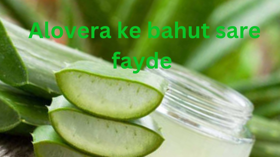 Alovera ke fayde 2 Alovera ke fayde 2